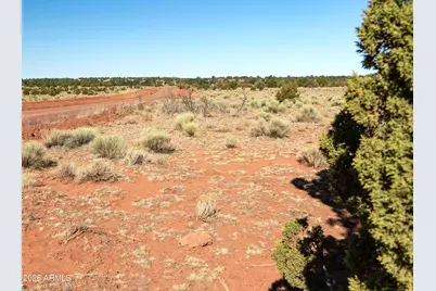 000 W Calle Adan -- #4992, Seligman, AZ 86337 - Photo 12