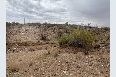 000 N Mohave Drive #48, Dolan Springs, AZ 86441 - Photo 8