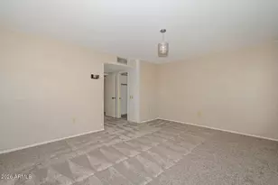 10314 W Spanish Moss Ln, Sun City, AZ 85373 - Photo 34