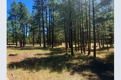 2124 Antelope Way #484, Happy Jack, AZ 86024 - Photo 1