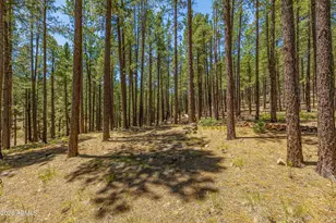 4875 Hidden Hollow Rd, Flagstaff, AZ 86001 - Photo 44