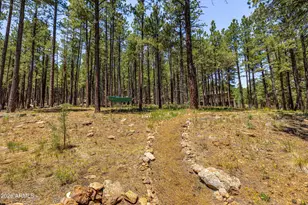 4875 Hidden Hollow Rd, Flagstaff, AZ 86001 - Photo 52