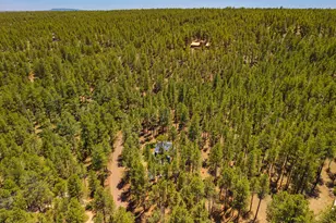 4875 Hidden Hollow Rd, Flagstaff, AZ 86001 - Photo 56
