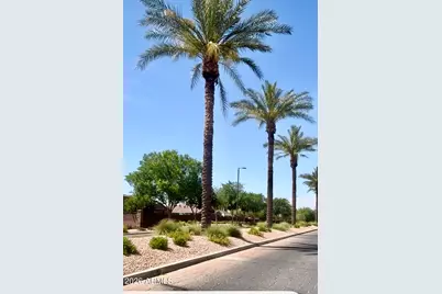 901 W Witt Avenue, San Tan Valley, AZ 85140 - Photo 20