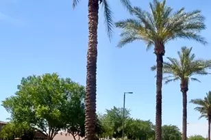901 W Witt Ave, San Tan Valley, AZ 85140 - Photo 20