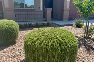 901 W Witt Ave, San Tan Valley, AZ 85140 - Photo 14