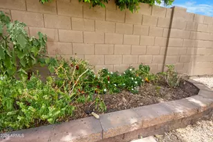 8352 W Molly Ln, Peoria, AZ 85383 - Photo 54