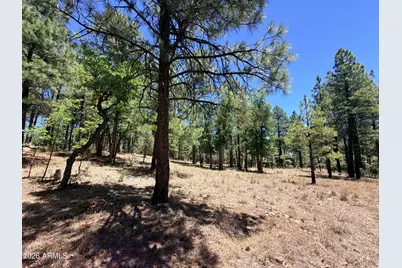 4215 Apache Drive #428, Happy Jack, AZ 86024 - Photo 6