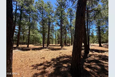 4215 Apache Drive #428, Happy Jack, AZ 86024 - Photo 2