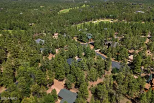 4000 W Ninebark Ln, Show Low, AZ 85901 - Photo 48