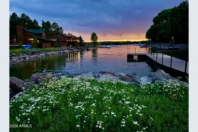 784 Pine Creek Drive, Lakeside, AZ 85929 - Photo 48