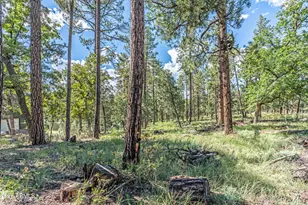 282 S Cienega Rd, Payson, AZ 85541 - Photo 22