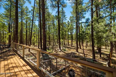 7 N County Road N2132 --, Alpine, AZ 85920 - Photo 32