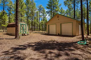 7 N County Road N2132 --, Alpine, AZ 85920 - Photo 8