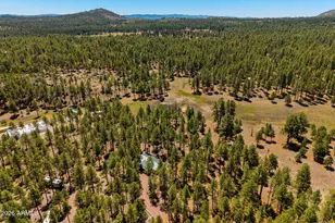 7 N County Road N2132 --, Alpine, AZ 85920 - Photo 20