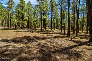 7 N County Road N2132 --, Alpine, AZ 85920 - Photo 16