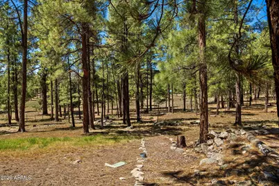 7 N County Road N2132 --, Alpine, AZ 85920 - Photo 14