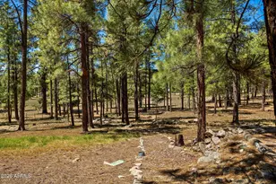 7 N County Road N2132 --, Alpine, AZ 85920 - Photo 14