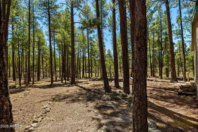 7 N County Road N2132 --, Alpine, AZ 85920 - Photo 30