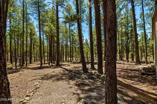 7 N County Road N2132 --, Alpine, AZ 85920 - Photo 30