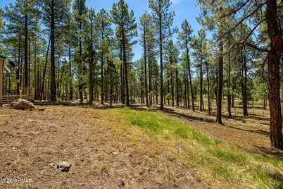 7 N County Road N2132 --, Alpine, AZ 85920 - Photo 34