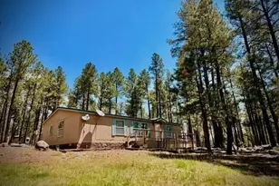 7 N County Road N2132 --, Alpine, AZ 85920 - Photo 28