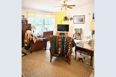 7 N County Road N2132 --, Alpine, AZ 85920 - Photo 12