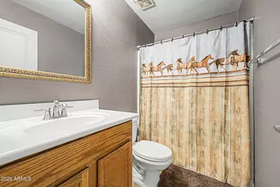 2682 E Cowboy Cove Trail, San Tan Valley, AZ 85143 - Photo 18