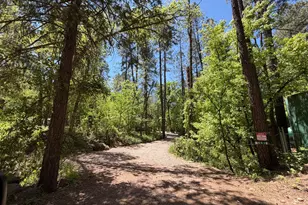 357 W Columbine Rd, Payson, AZ 85541 - Photo 60