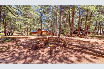 2186 Snow Trail, Forest Lakes, AZ 85931 - Photo 10