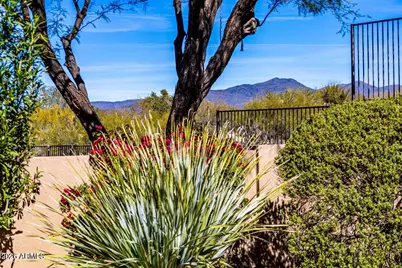 33655 N 78th Place, Scottsdale, AZ 85266 - Photo 42