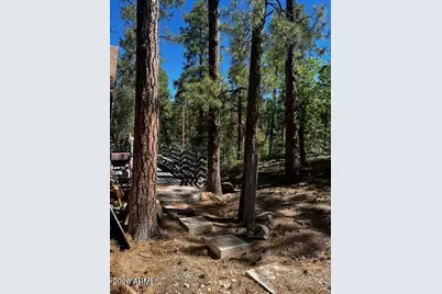 3646 S Loba Drive S, Prescott, AZ 86303 - Photo 8