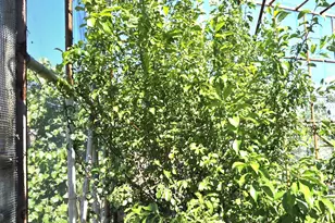 624 W Baker Ranch Rd, Young, AZ 85554 - Photo 88