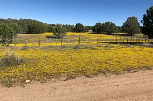 20250 N Lower Territory Rd, Prescott, AZ 86301 - Photo 8