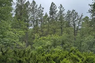 17270 Grizzly Ridge Rd, Munds Park, AZ 86017 - Photo 2