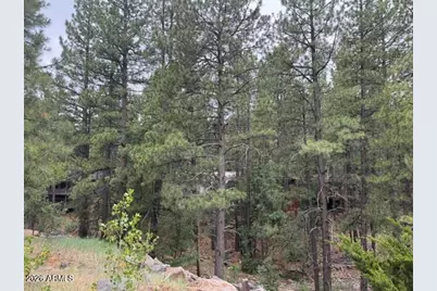 17270 Grizzly Ridge Road, Munds Park, AZ 86017 - Photo 4