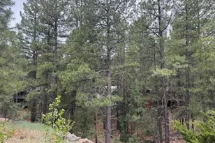 17270 Grizzly Ridge Rd, Munds Park, AZ 86017 - Photo 4