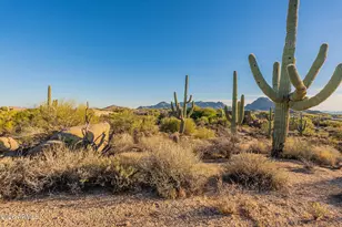28729 N 107th St, Scottsdale, AZ 85262 - Photo 24