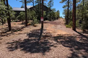 1630 S Twin Peak Trail, Show Low, AZ 85901 - Photo 4
