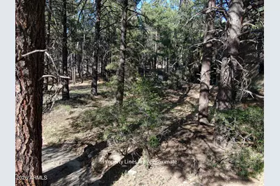 4405 E Dreamy Lane #42, Flagstaff, AZ 86004 - Photo 2
