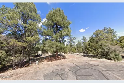 3485 Roundup Circle #-, Heber, AZ 85928 - Photo 2