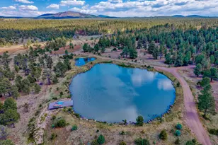 38 N1349, Springerville, AZ 85938 - Photo 8