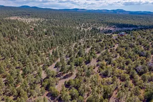 38 N1349, Springerville, AZ 85938 - Photo 70