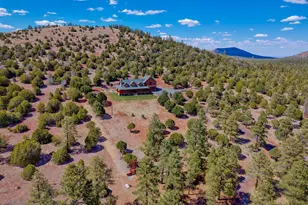 38 N1349, Springerville, AZ 85938 - Photo 84