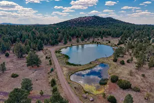 38 N1349, Springerville, AZ 85938 - Photo 76