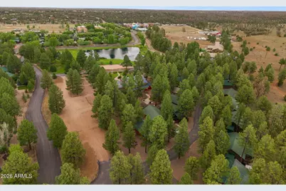 2722 High Pine Loop, Overgaard, AZ 85933 - Photo 2