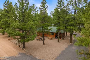 2722 High Pine Loop, Overgaard, AZ 85933 - Photo 1