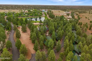 2722 High Pine Loop, Overgaard, AZ 85933 - Photo 4