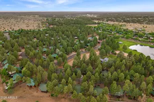 2722 High Pine Loop, Overgaard, AZ 85933 - Photo 28