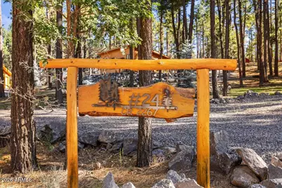 24 County Rd 2267 --, Alpine, AZ 85920 - Photo 44